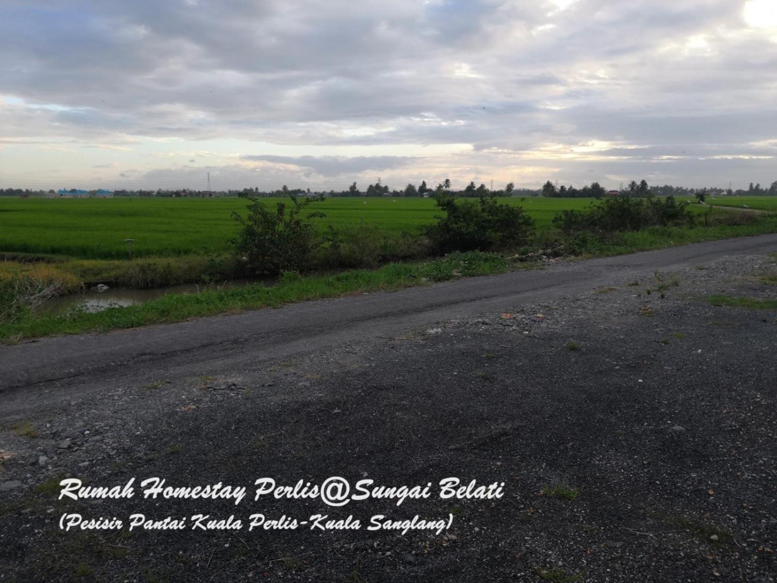 Rhumah Sungai Belati Villa Simpang Empat  Dış mekan fotoğraf
